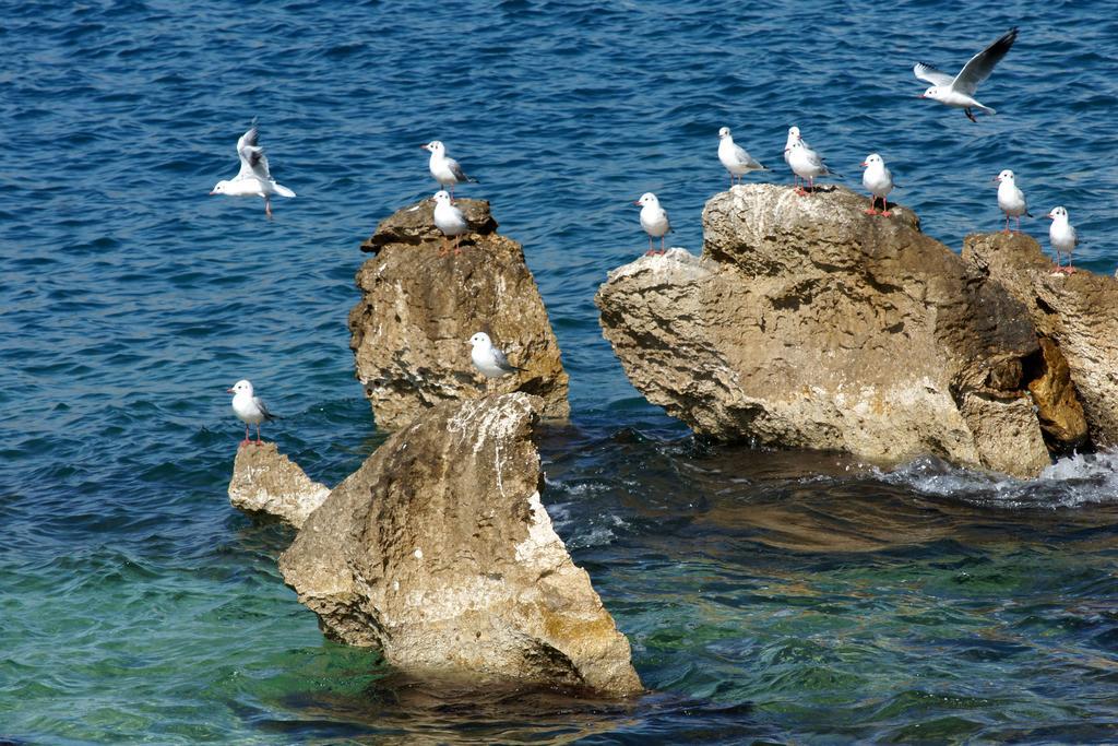 White Residence Luxury Apartments Sarandë 客房 照片
